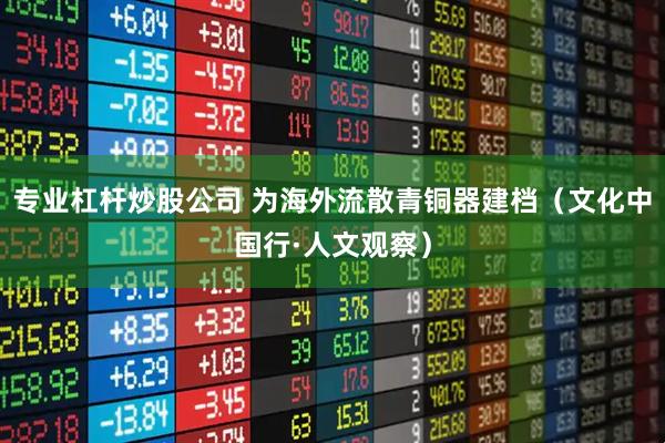 专业杠杆炒股公司 为海外流散青铜器建档（文化中国行·人文观察）